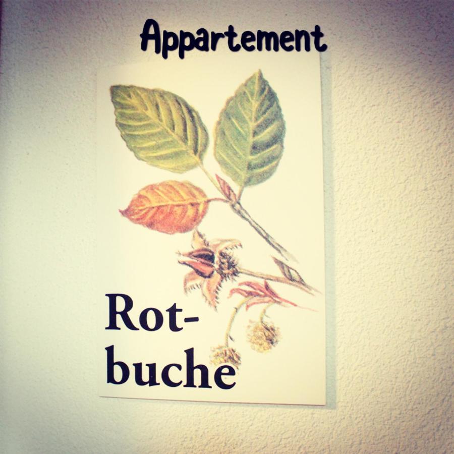 Rotenstein Apartment Berwang